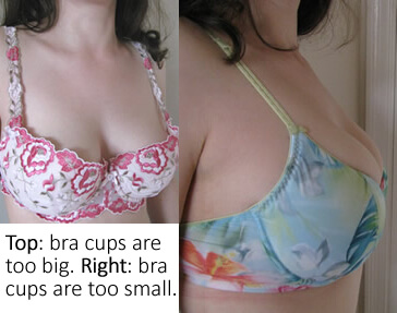 A busty woman's 34dd-36dd bras, There is a little wear (mos…
