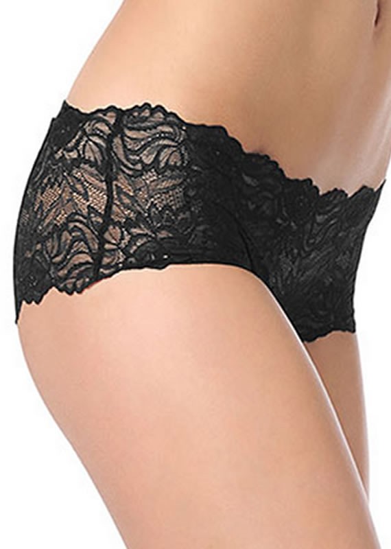Forbidden Lace Sheer Low Rise Hipster by Triumph Lingerie